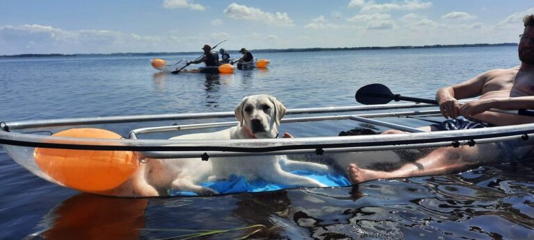 Hundevenlig ferie - tag hunden med i gennemsigtig kano/kajak (GLASKAJAK®) med VisionKayak. Kanoture med hund